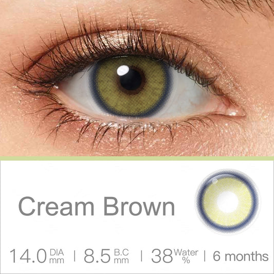 Magister Melody Cream Brown Color 14.0mm