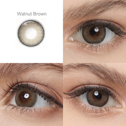 Magister Bunny Walnut Brown Color 14.5mm