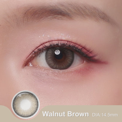 Magister Bunny Walnut Brown Color 14.5mm